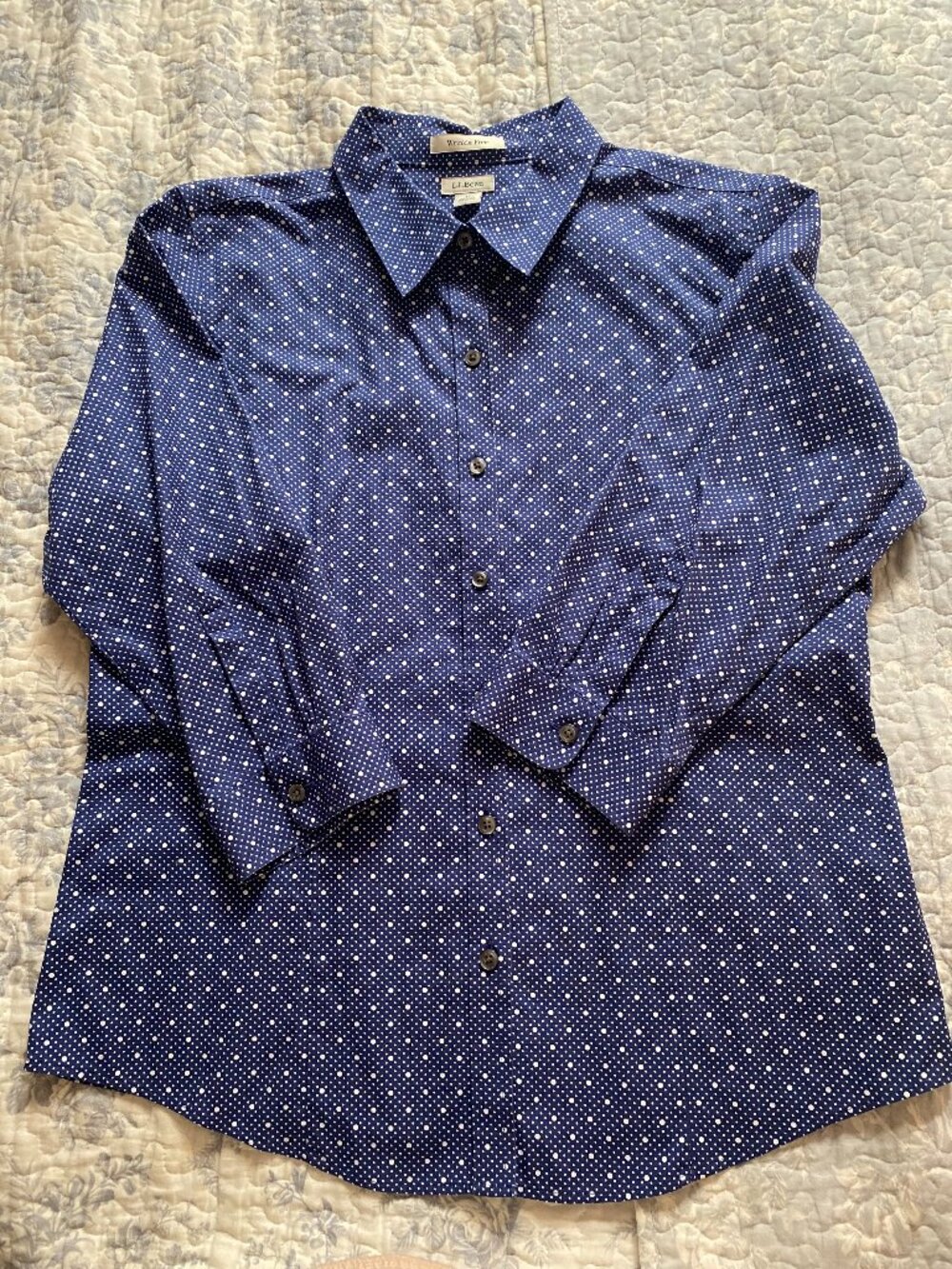 LL Bean Women's Medium Wrinkle Free Button Up 3/4 Sleeve Blue White Cotton Top
